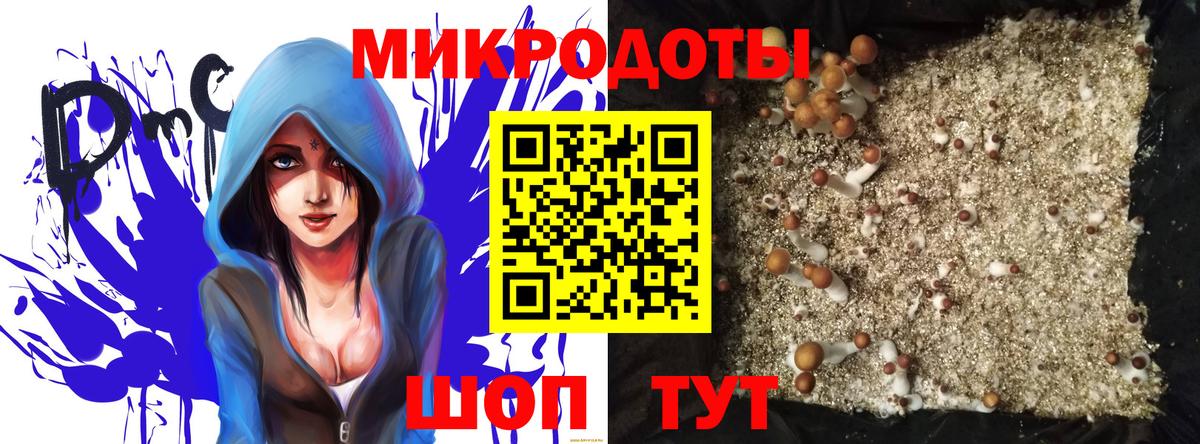 Галлюциногенные грибы мицелий  Вход с VPN  Галлюциногенные грибы ЛСД  Волоколамск 