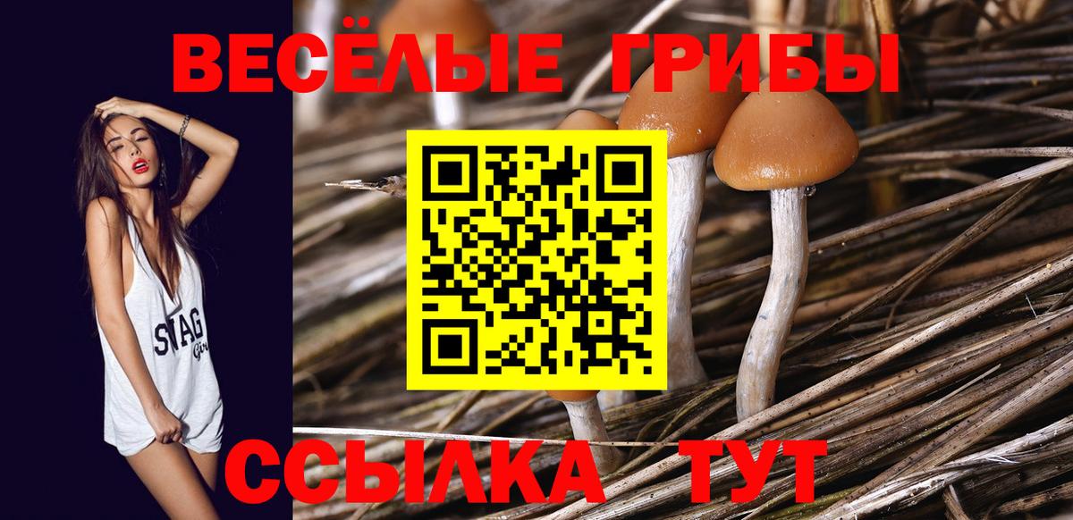 Меф МЯУ МЯУ  Альфа ПВП СОЛЬ кристаллы  COCAIN  Продажа наркотиков  Мефедрон   Вход с VPN  Волоколамск  ГАШ  Конопля 